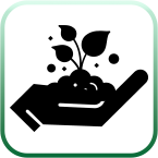 أسمدة NPK الورقية