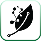 العناصر الدقيقة