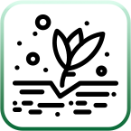 جِل والأسمدة المعلقة