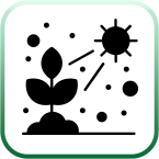 المنتجات الأخرى